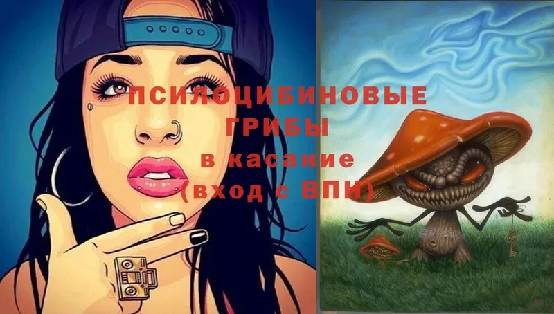 Псилоцибиновые грибы Psilocybine cubensis  цена   shop наркотические препараты  Владимир 